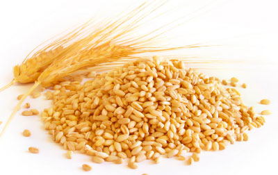 Wheat-berries