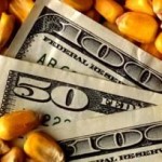 Brokers offer hope of revival in corn futures