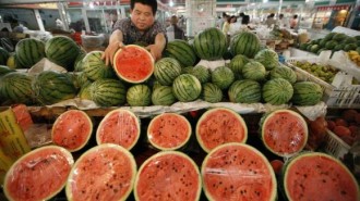 watermelons at a market in Huaibei
