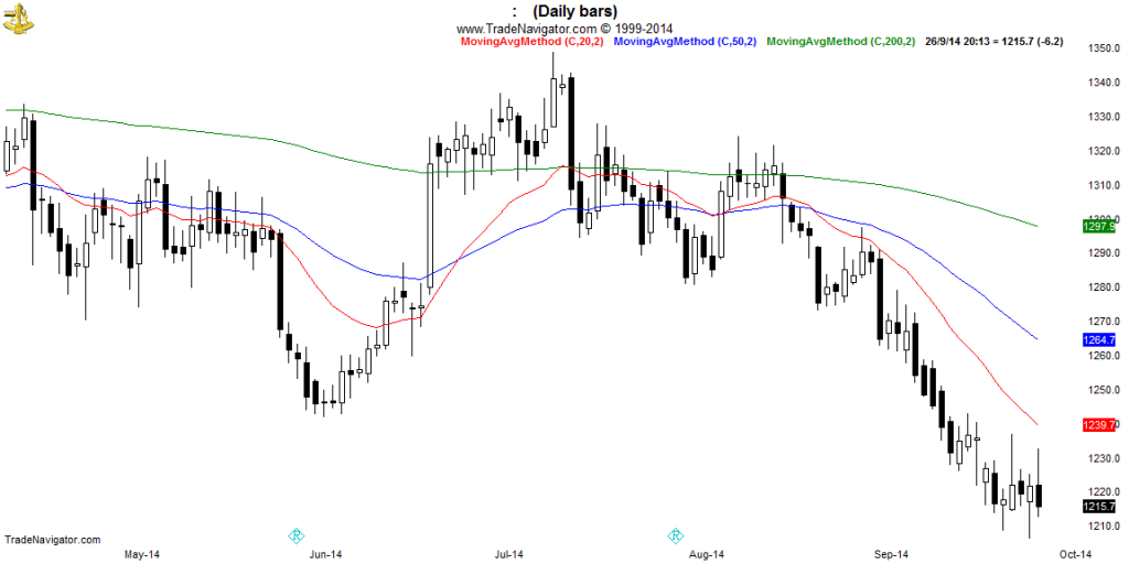 GC2-Daily (2)