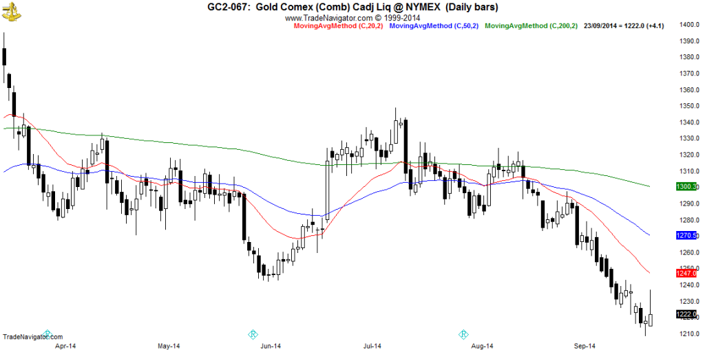 GC2-Daily