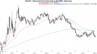 NG2-Daily