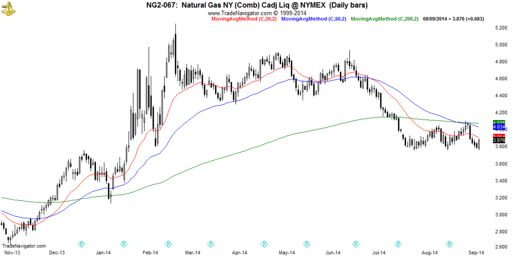 NG2-Daily