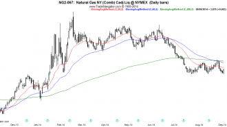 NG2-Daily