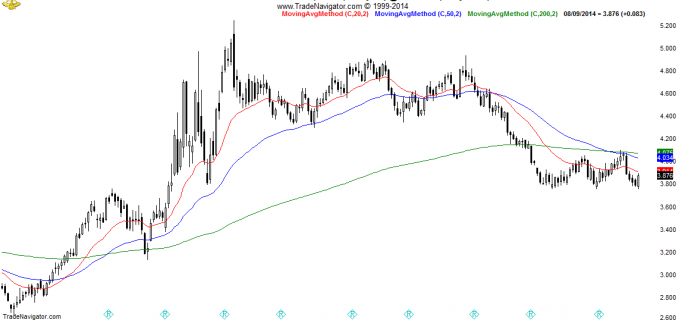 NG2-Daily