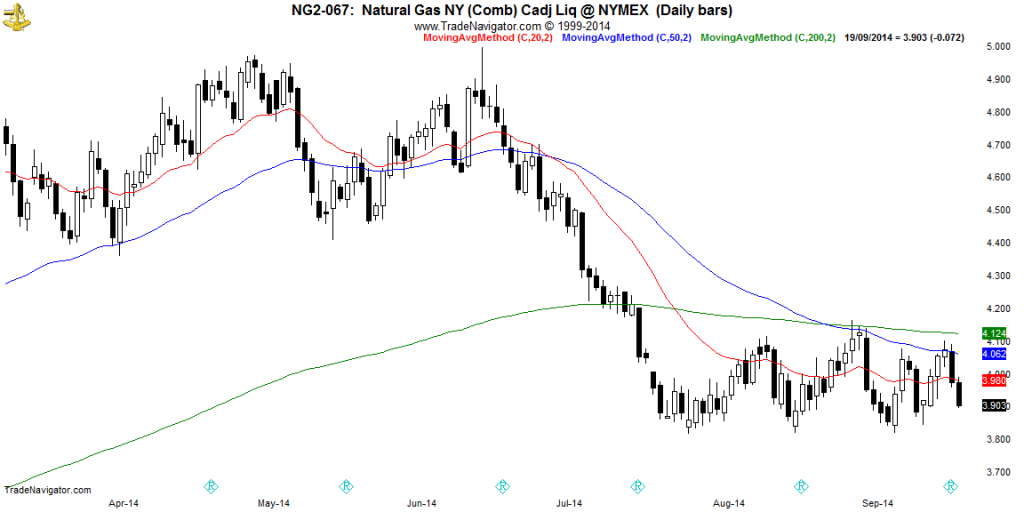 NG2-Daily