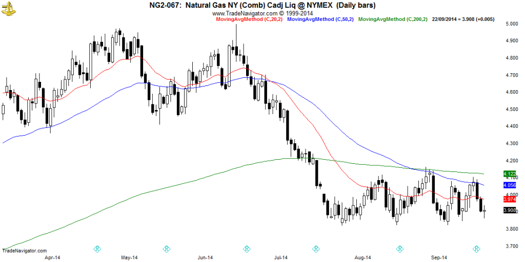 NG2-Daily