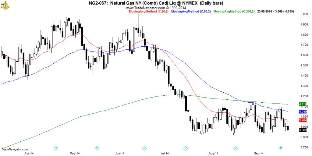 NG2-Daily