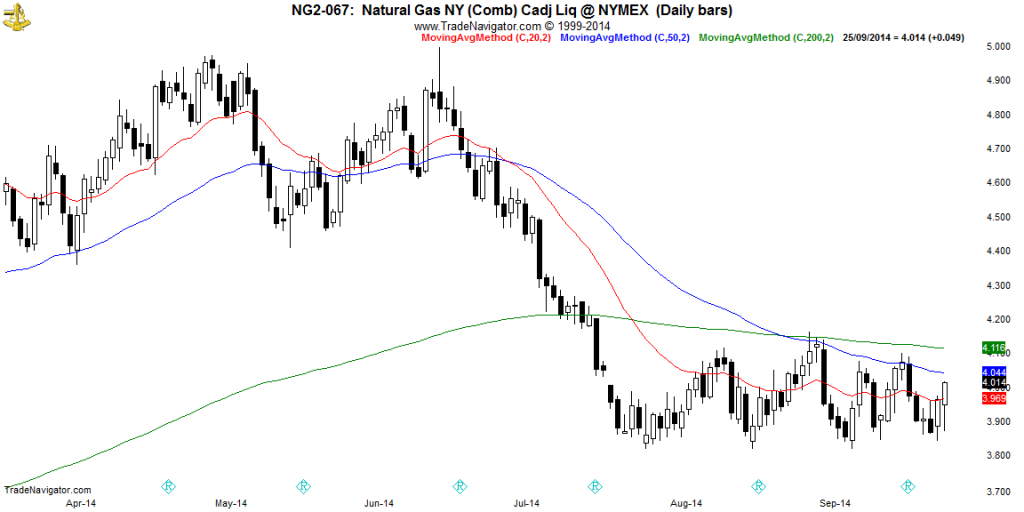 NG2-Daily