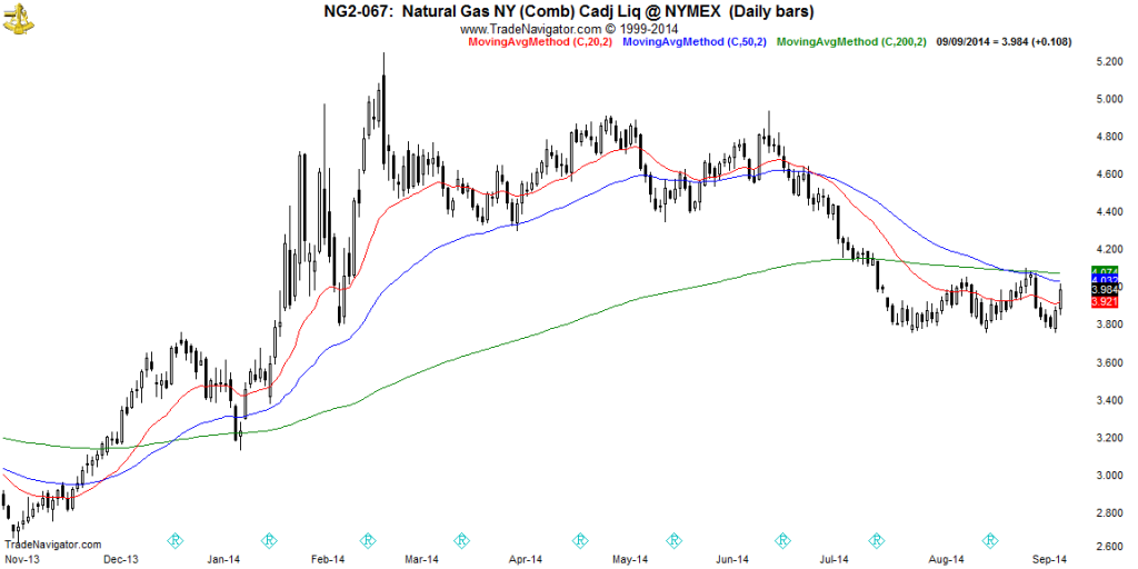 NG2-Daily