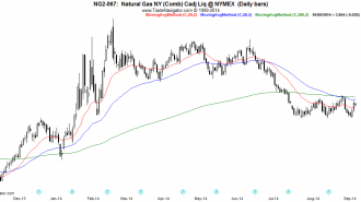 NG2-Daily