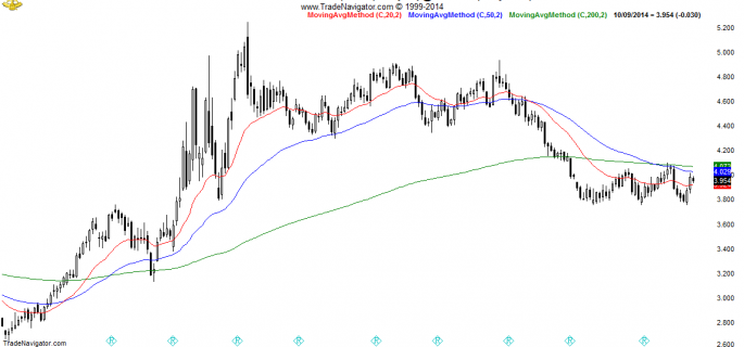 NG2-Daily