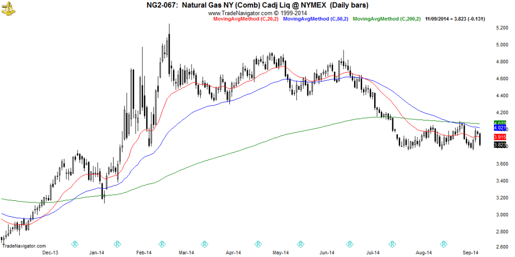 NG2-Daily