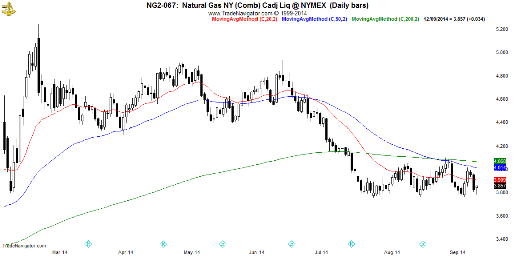 NG2-Daily