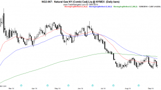 NG2-Daily