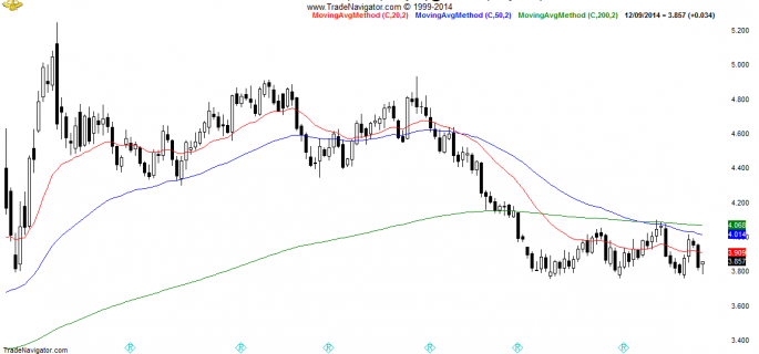 NG2-Daily