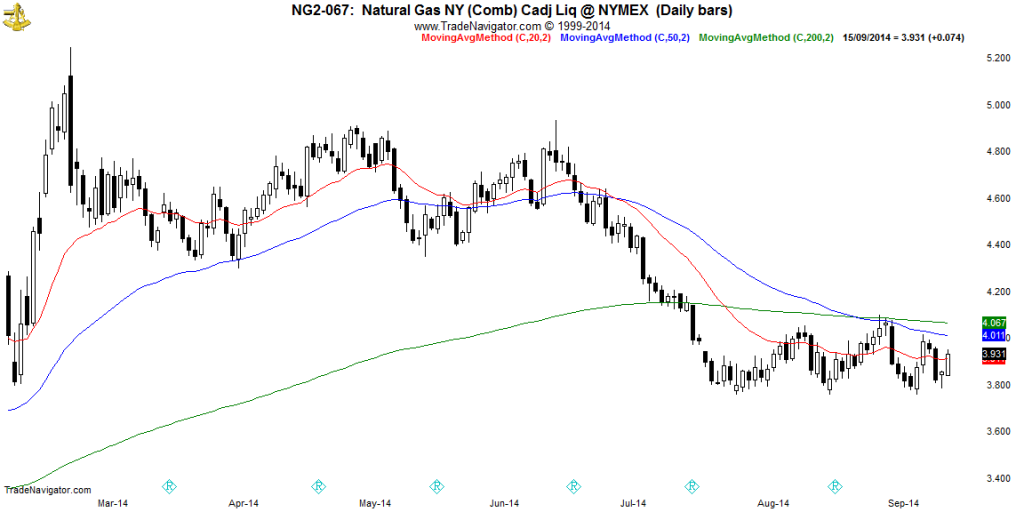 NG2-Daily