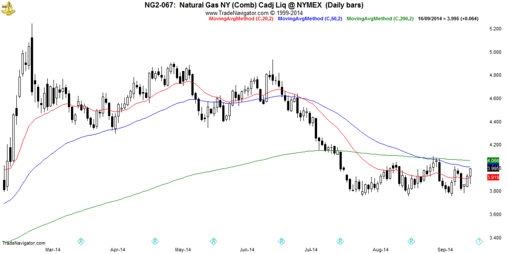 NG2-Daily