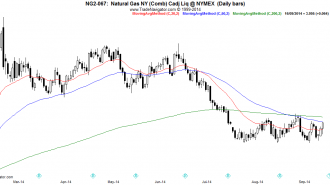 NG2-Daily