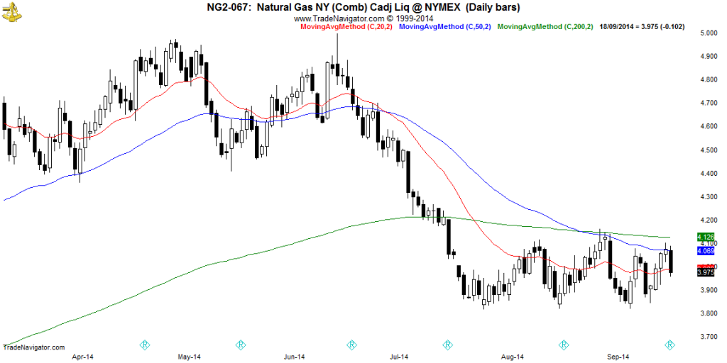 NG2-Daily