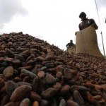 As cocoa price soars, chocolate makers devour substitutes