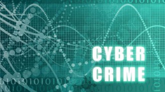 cyber crime