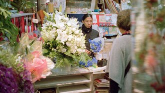 japanese flower shop