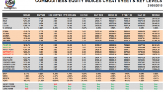 Commodities and Indices Cheat Sheet May 21