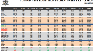 Commodities and Indices Cheat Sheet May 22