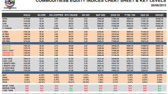 Commodities and Indices Cheat Sheet June 08