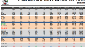 Commodities and Indices Cheat Sheet June 09