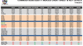 Commodities and Indices Cheat Sheet June 17