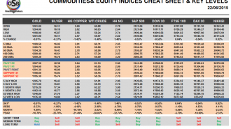 Commodities and Indices Cheat Sheet June 22