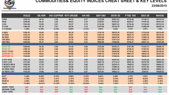 Commodities and Indices Cheat Sheet June 23