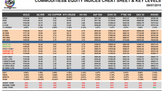 Commodities and Indices Cheat Sheet July 09