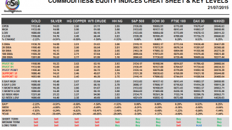 Commodities and Indices Cheat Sheet July 21