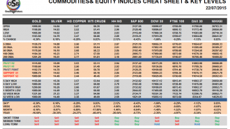 Commodities and Indices Cheat Sheet July 22