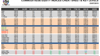 Commodities and Indices Cheat Sheet July 23