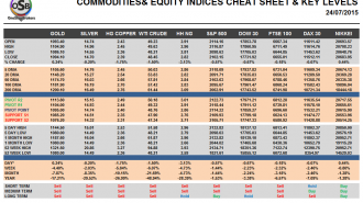 Commodities and Indices Cheat Sheet July 24