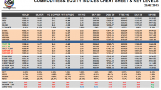 Commodities and Indices Cheat Sheet July 29