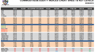 Commodities and Indices Cheat Sheet August 05