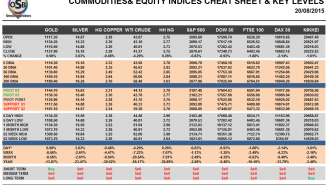 Commodities and Indices Cheat Sheet August 20