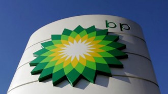 bp egypt