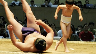 sumo-yen-dollar