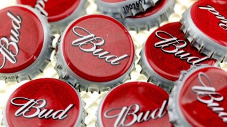 20288_Budweiserbottlecaps