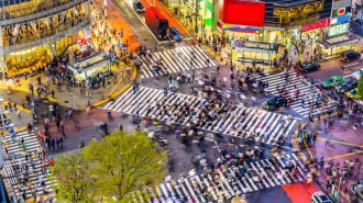 tokyo-crosswalk