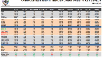Commodities and Indices Cheat Sheet Jan 24