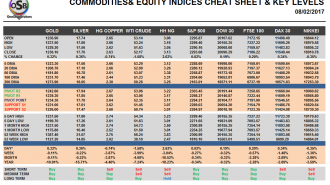 Commodities and Indices Cheat Sheet Feb 08