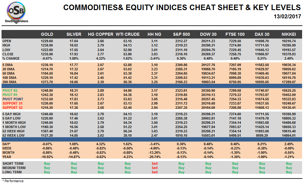 Commodities and Indices Cheat Sheet Feb 13