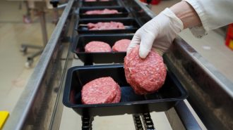 Beef-Food-Factory-Packing-Industry_News-619x413